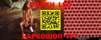 Альфа ПВП Владимир