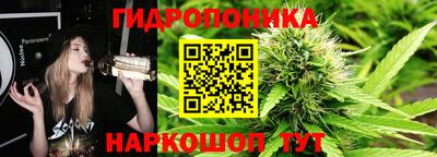 Альфа ПВП Владимир