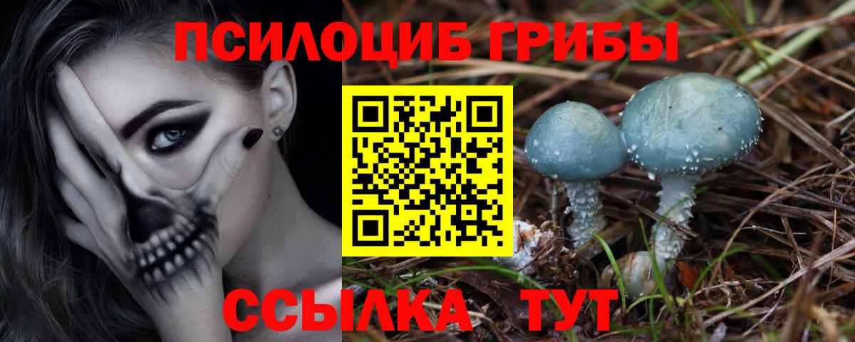 Псилоцибиновые грибы ЛСД Архангельск