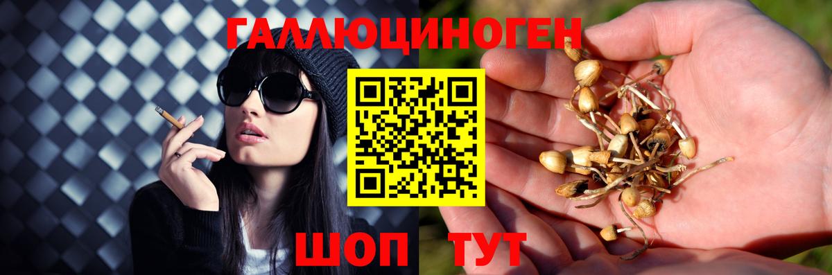 Псилоцибиновые грибы Psilocybe  Галлюциногенные грибы Psilocybine cubensis  Вход с VPN  Архангельск 