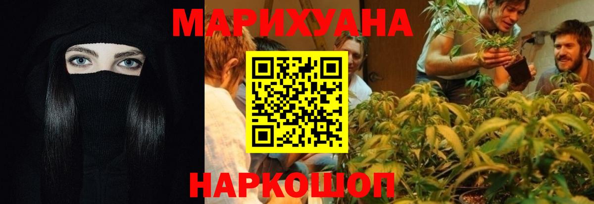 Бошки Шишки марихуана  Вход с VPN  Шишки марихуана White Widow  Канабис план  Архангельск 
